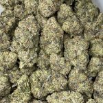 GAS MASK CANNABIS STRAIN